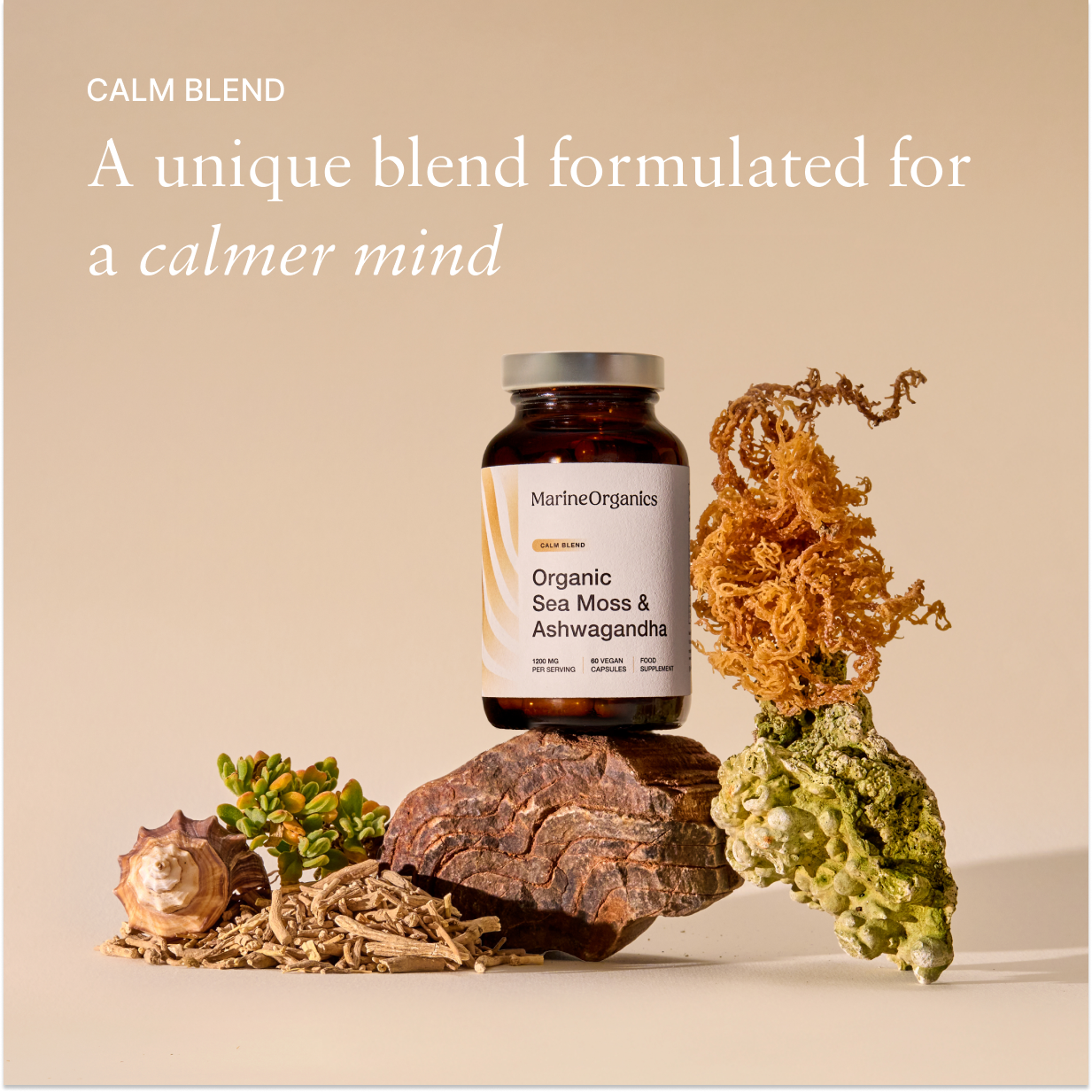 Organic Sea Moss & Ashwagandha - Calm Blend