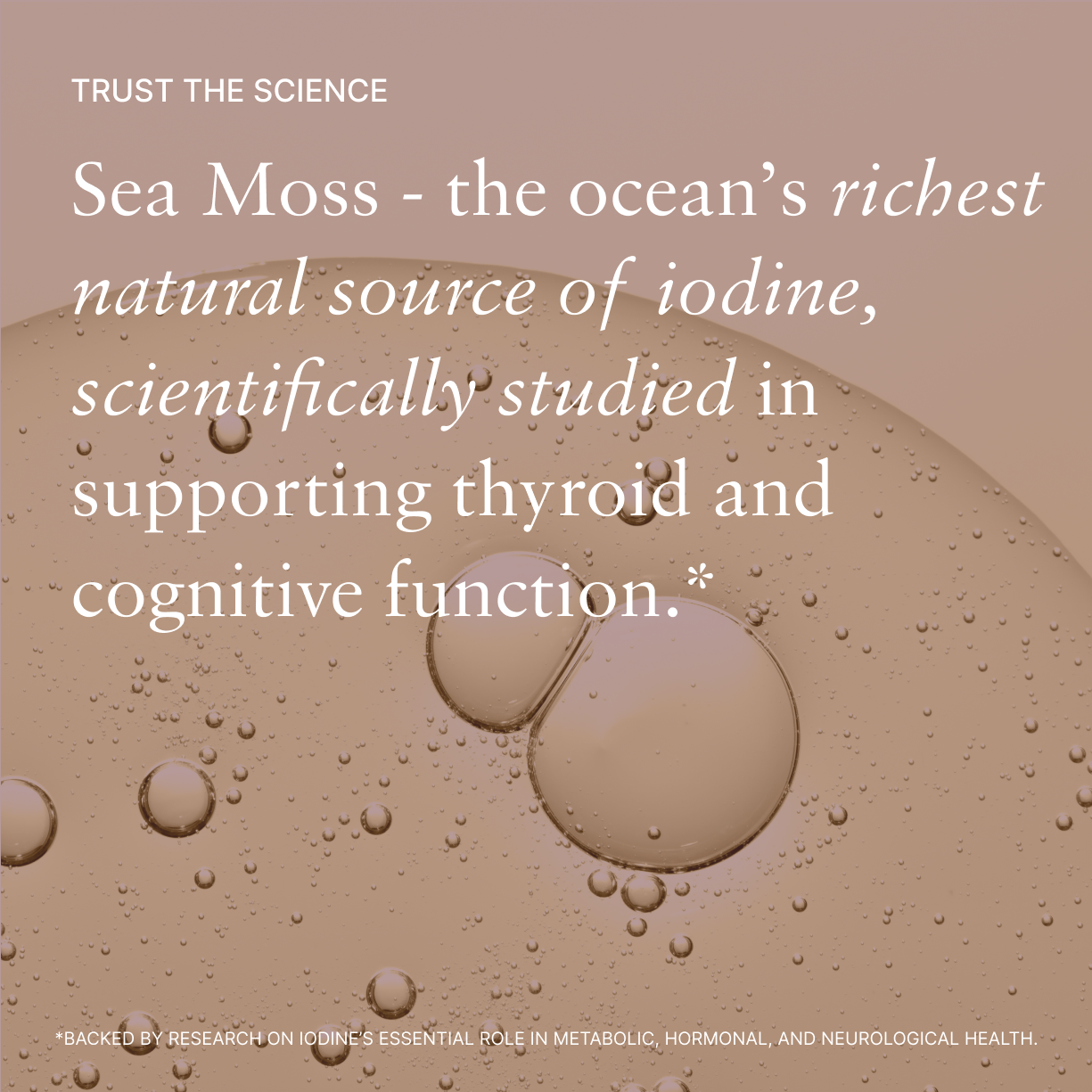 Organic Sea Moss & Ashwagandha - Calm Blend