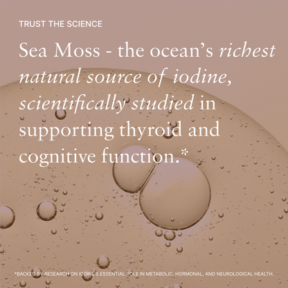 Organic Sea Moss & Ashwagandha - Calm Blend