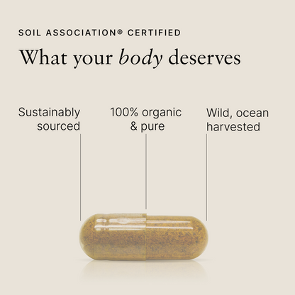 Organic Sea Moss & Ashwagandha - Calm Blend