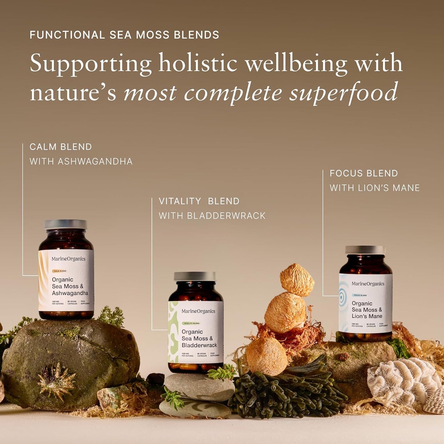 Organic Sea Moss & Ashwagandha - Calm Blend